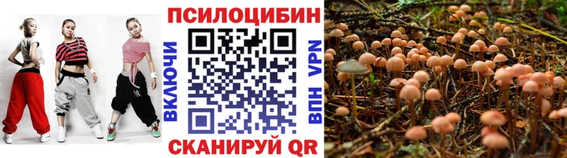 Галлюциногенные грибы мухоморы  Ишим 