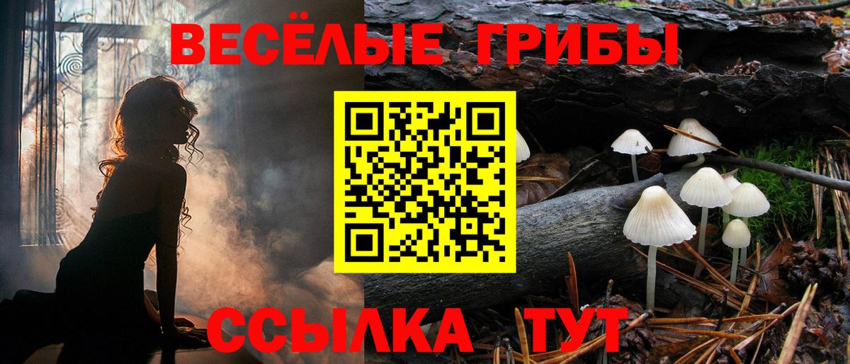 Галлюциногенные грибы GOLDEN TEACHER Ишим