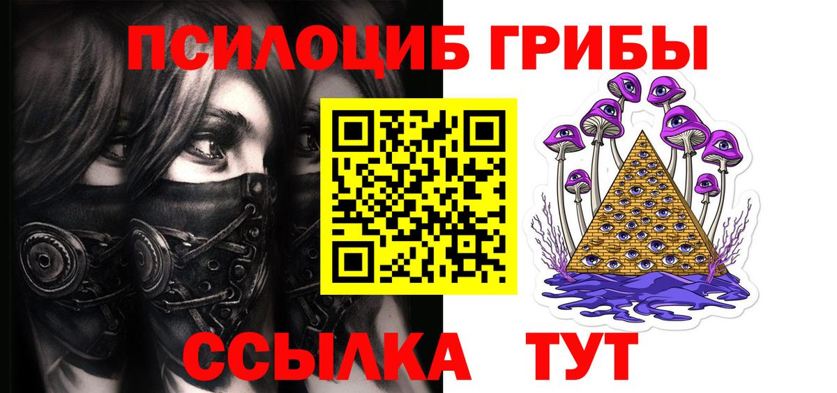 Ишим  Галлюциногенные грибы Psilocybe  Вход с VPN 