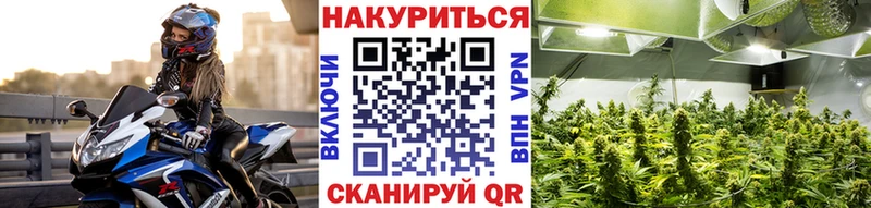 Шишки марихуана Bruce Banner Ишим