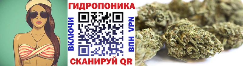 Канабис план  OMG ONION  Ишим  где найти наркотики 